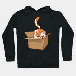 Cat in the box Hoodie